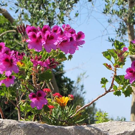 Vila Torre Pinta Masseria Medioevale Otranto Exteriér fotografie